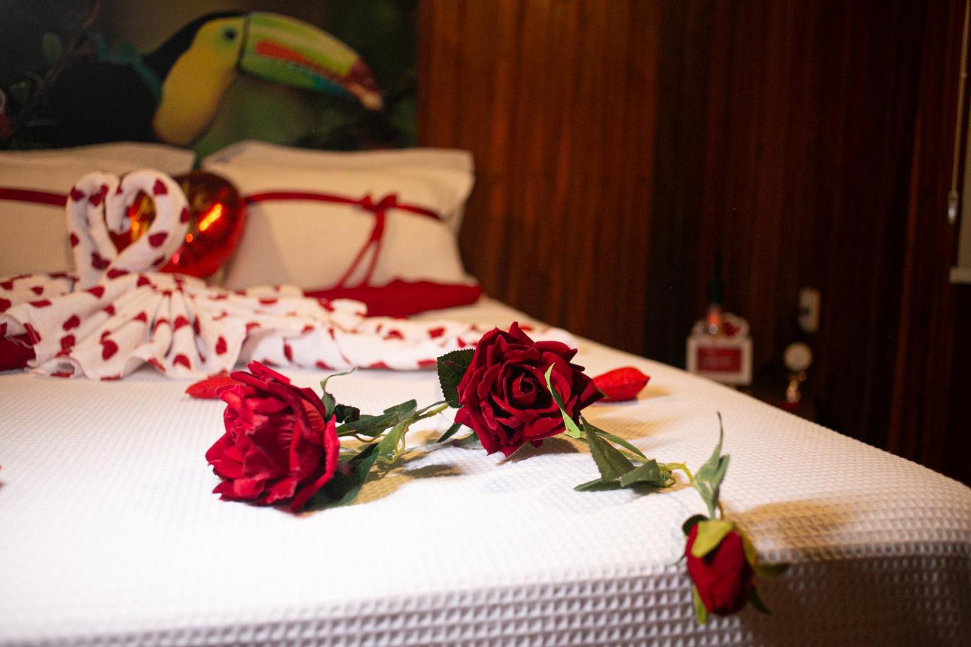 Pousada E Restaurante Amazonia Alter do Chão Dış mekan fotoğraf